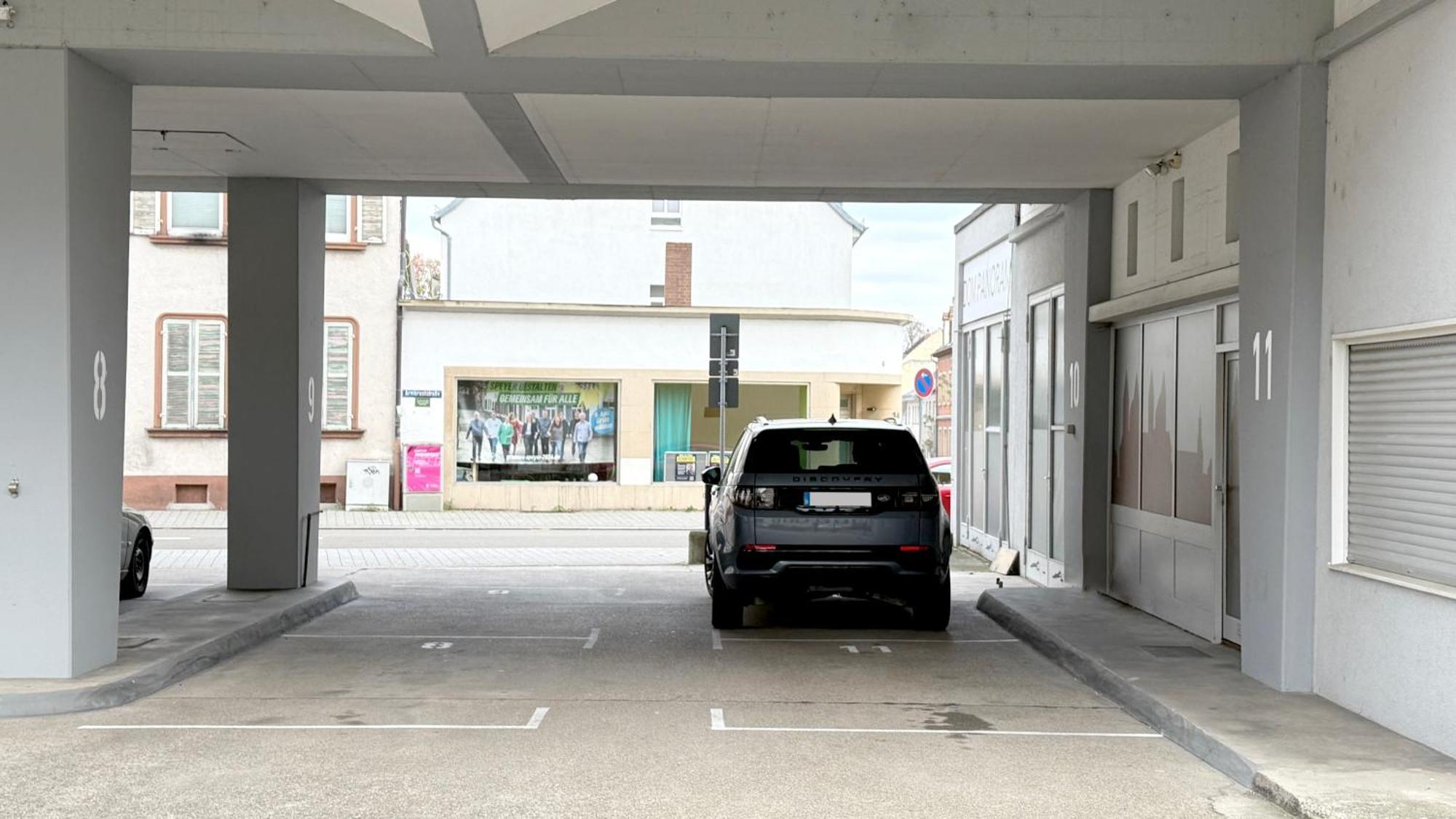 Dompanorama Der Kleine Dschungel Apartment Fuer 2-4 Pers Speyer Esterno foto