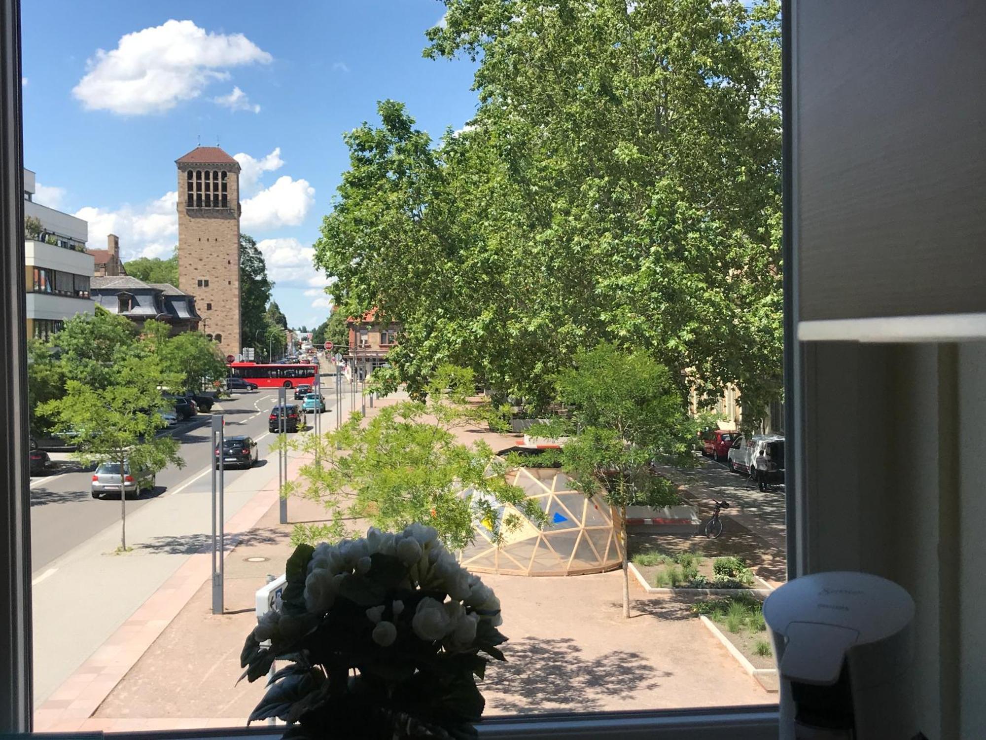 Dompanorama Der Kleine Dschungel Apartment Fuer 2-4 Pers Speyer Esterno foto